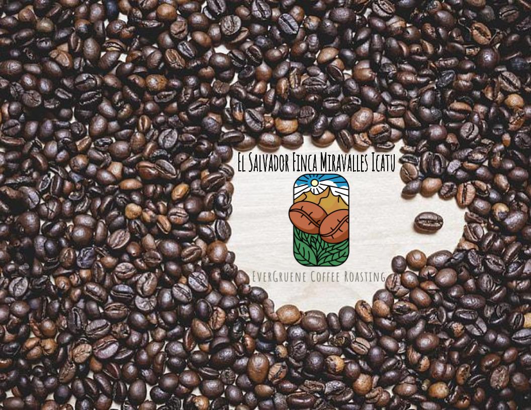 El Salvador Finca Bourbon Coop | Single-Origin (12oz)