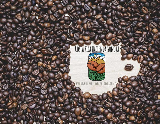 Costa Rica Hacienda Sonora | Single Origin (12oz)